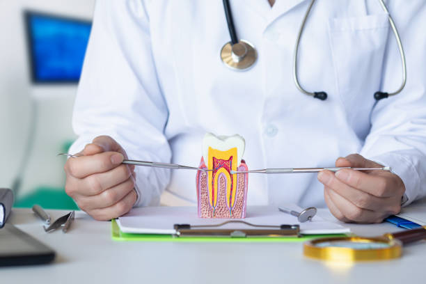 Best Emergency Broken Tooth Repair in Loudon, TN